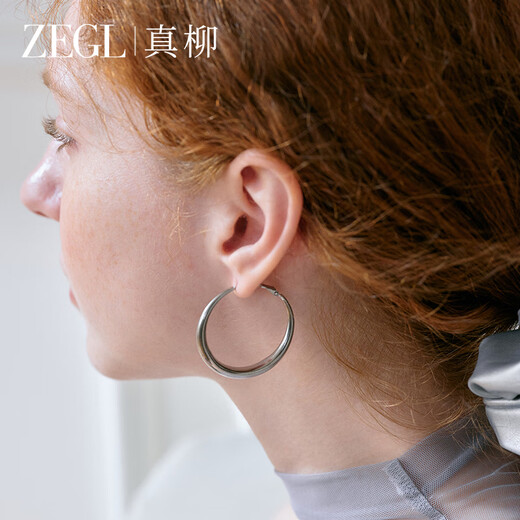 ZEGL Silver Elegant Large Earrings Women's 925 Silver Needle Earrings Earrings Earrings Temperament and High-end Feeling Women's Birthday Gifts for Best Friend