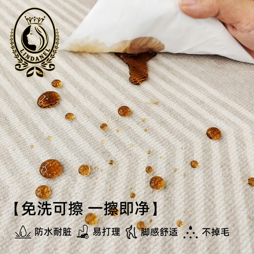 琳达瑞尔客厅地毯轻奢高级免洗可擦大面积简约风沙发地垫 清蔷-10278（升级款） 240cm*360cm定制
