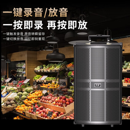 Sony Ericsson (soaiy) 15-inch square dance audio wooden high-power portable outdoor heavy bass Bluetooth karaoke special high-volume mobile trolley speaker outdoor performance dual microphone SA-1509