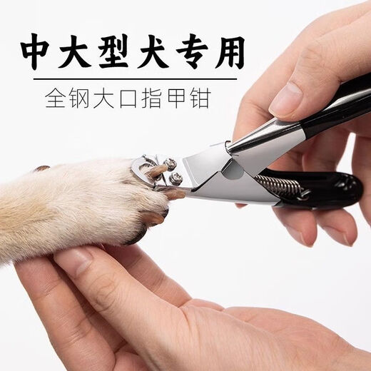 Pengyi Dog Nail Clippers Pet Nail Clippers Medium and Large Dog Nail Clippers Alaskan Golden Retriever Labrador Buy One Get One Free Blue Nail Clippers + Nail File