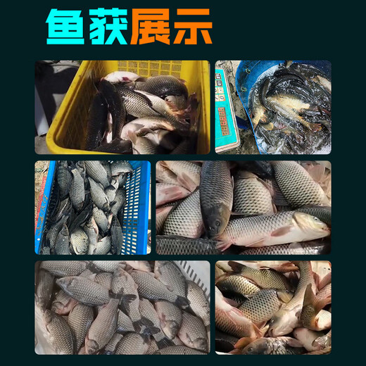 Weituosen Grade Pumpkin Cake 300ml