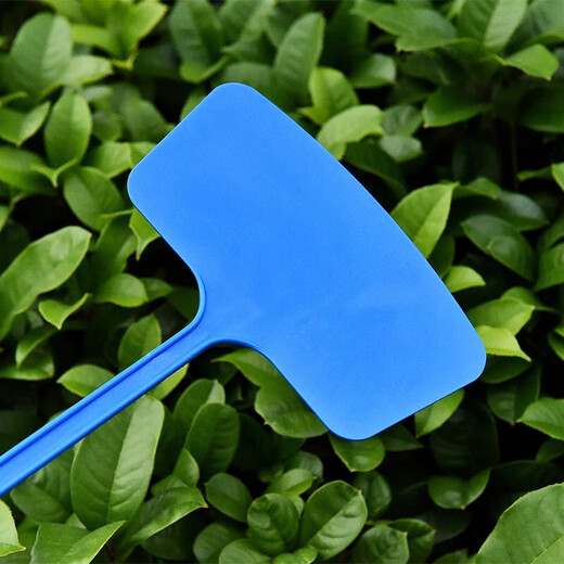 Gartenetikett, Blumen- und Pflanzenetikett, Bodenschild, wasserfest, individuelles Gartenschild, integrierte Abschrägung, 45 cm Fläche, rot (10 Stück)