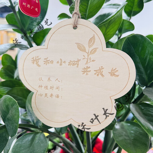 Yong Huan 10 pieces of custom-made wooden hanging tags for school Arbor Day tags, tree adoption tags, plant tags, name cards, blank boards, 10 pieces, note numbers