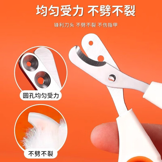 Special nail scissors for cats, anti-scratch, pet cleaning, nail clippers, dog supplies, general maintenance supplies, double-hole small blind scissors - orange and white (common for adult and young cats), free pet supplies