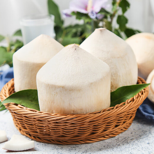 Imported from Vietnam, green coconut single fruit Ao Ying seasonal fresh fruit, free coconut opener and straw, 1 early adopter, single fruit 850g+