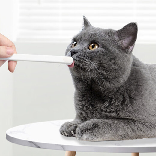 Jingdong Express Pet Brush Teeth Oral Interdental Brush 1000-Bristled Brush Finger Cover Dog Cat Small Head Soft Hair White 1000-Bristled Brush 1 Default