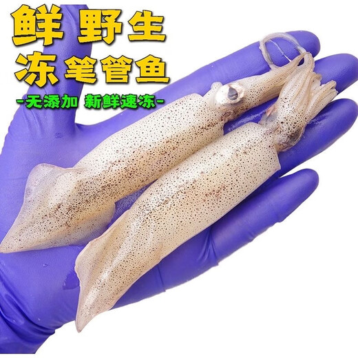 Wild fresh sea-caught quick-frozen fish, Aplysia squid roe, direct delivery from Lianyungang, fresh sea-caught fish 500g*5 packs 5 Jin Jin equals 0.5 kg