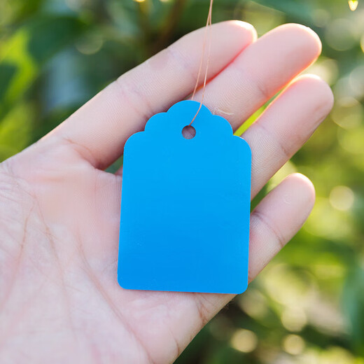 100 pieces of hang tags, plant signs, tree signs, classified color cards, plastic, waterproof, light-fast, non-fading P 2.5*3.6cm green, 100 pieces