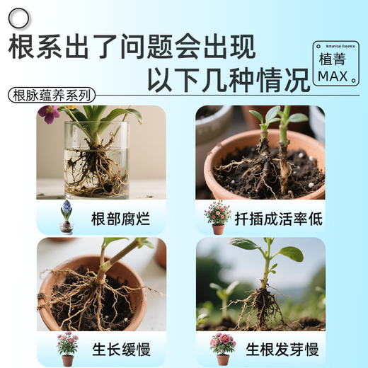 Dewoduo powerful plant rooting solution 50ml gardening cuttings strong seedlings and roots universal hydroponic soil culture flower and green plant nutrient solution