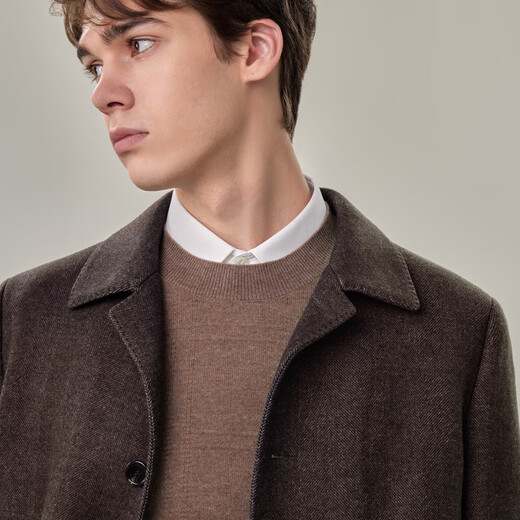 EMZ Ordos Removable Liner Autumn and Winter Warm Wool Coat Mid-Length Men's Woolen Jacket Dark Coffee L 175/96A
