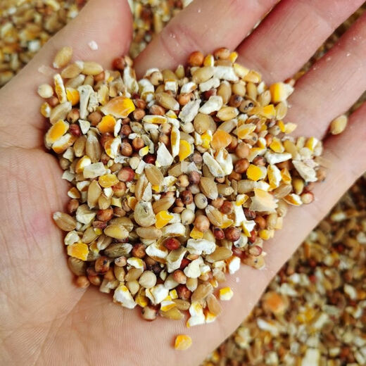 Sorghum, wheat and chopped corn mixed to feed chickens, corn crushed residue, corn grits, chicken and duck grain, pigeon grain, rabbit, pig, hamster, 1 Jin Jin is equal to 0.5 kg (sorghum + wheat + chopped corn mixed)