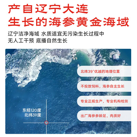 Fishing Travel Notes National Standard 11 times foaming Dalian light dried sea cucumber net weight 50g 8-15 pieces family size straight from the source