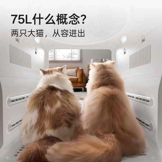 Jirpet Caja de secado para mascotas F1S Secador inteligente para gatos Soplador Silencioso Barrido para perros domésticos Cabina de secado rápido Modelo de barrido F1S 30Jin Jin equivale a 0,5 kg Adecuado para mascotas de menos de 0,5 kg