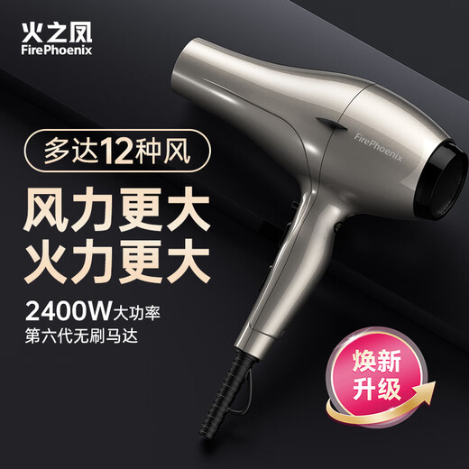 Fire Phoenix Hair Dryer 6600X, high power 2400W for hair salons, high wind power, low noise, home constant temperature hair care, no hair damage, professional hair dryer for barber shops, home appliances 6600H+ titanium gray (four-speed wind)