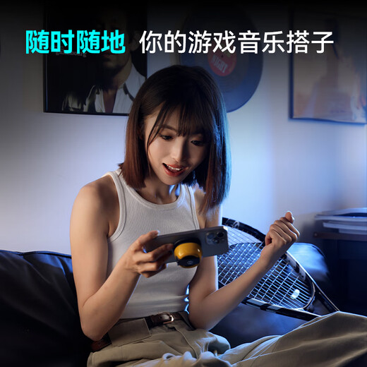 Edifier (EDIFIER) HECATE G200 Computer Game Speaker Small Bluetooth 6.0 High Quality Mini Outdoor Portable Hanging Mobile Phone Magnetic Desktop Gaming Speaker Audio Subwoofer Waterproof Black Magnetic+Bluetooth 6.0+RGB