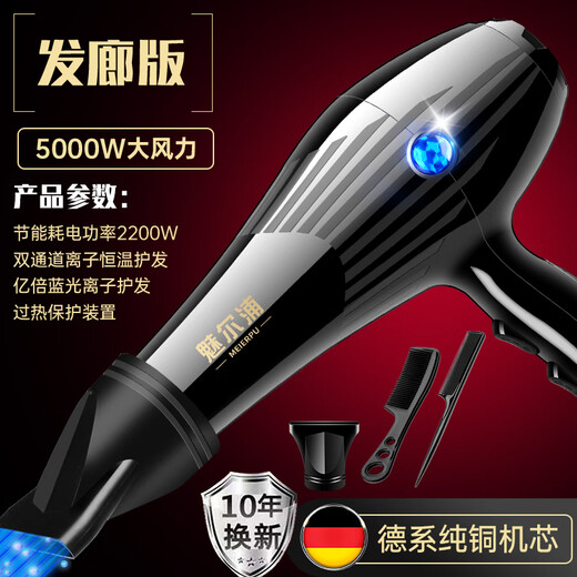 High-power hair dryer 5000W hair salon dedicated Liyou store 4000W hair dryer simple blue light 3000W hair dryer black-5000W high wind power-AC movement-free three