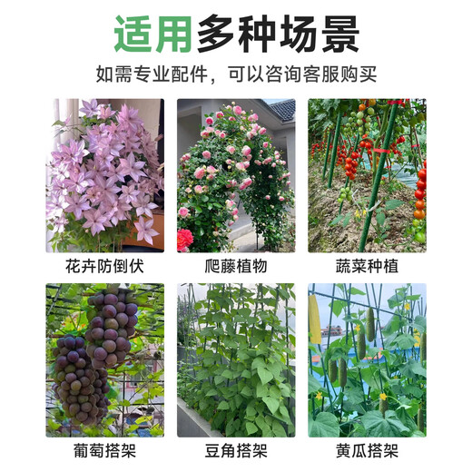 Pflanzenkletterständer Gurkenbohnen Tomatenstand Pflanzentruppungsstange Blumenständer Garten im Freien im Freien Durchmesser 16mm Länge 210 cm [10 Stück]