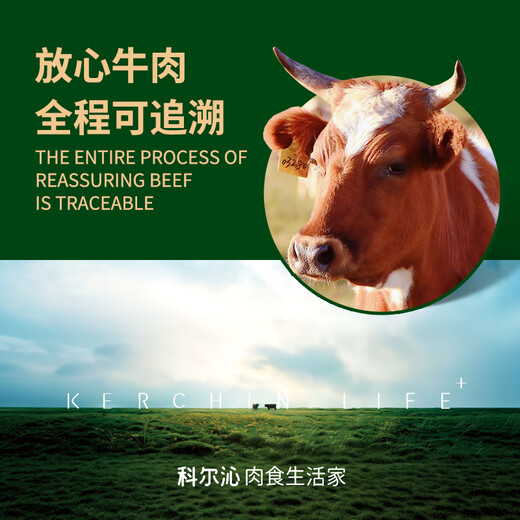 科尔沁 内蒙古特产国产沙葱肥牛卷1斤 牛肉卷涮火锅食材清真牛肉生鲜