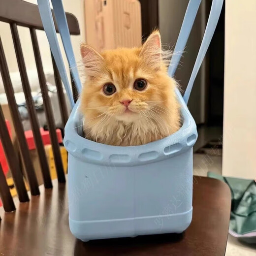 狗狗猫咪便携托特包宠物小型犬夏天外出神器手提篮约克夏马尔济斯 淡粉绿[撞色多巴胺*可DIY配饰] M-中型[建议8斤内爱宠]