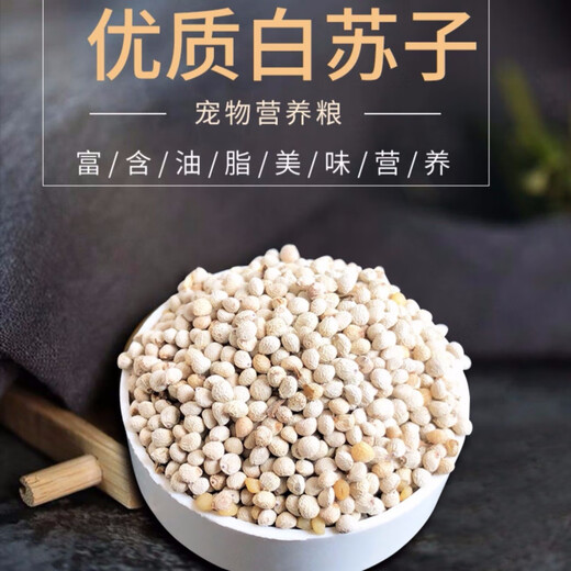 New white perilla large grain perilla seeds bird food canary hibiscus bird oriole pearl white swallow jade bird food parrot bird food 1Jin Jin is equal to 0.5 kg white perilla