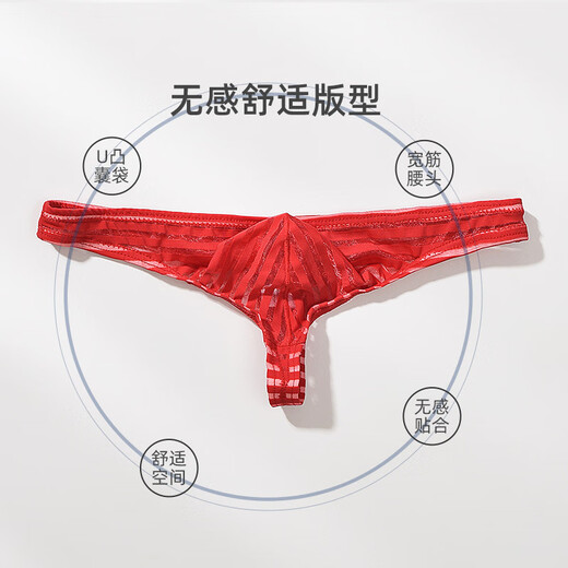 JUNYEON Men's Mesh Underwear Transparent Striped Thong Low Waist Sexy Thin Bag Black 3XL