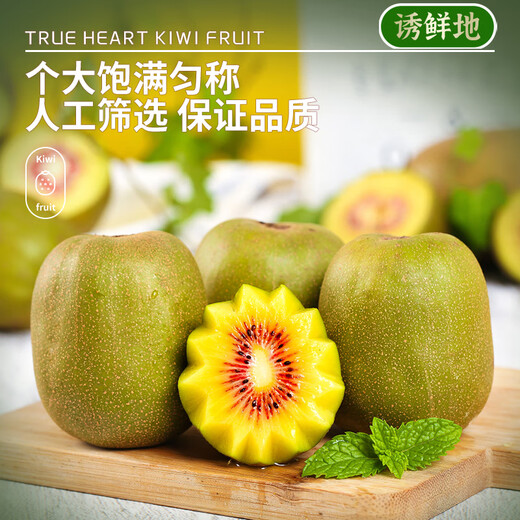 Jingdida Pujiang Red Heart Kiwi Fruit 24 Extra Large Fruit Single Fruit 100g+ Kiwi Fruit Straight from the Source