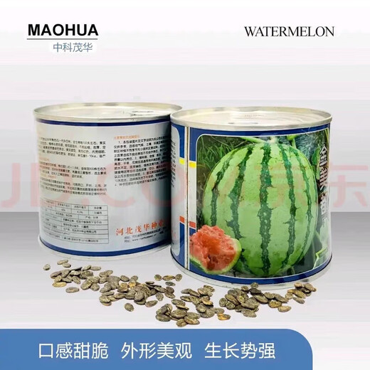 Super sweet 18 degree rock sugar Kirin watermelon seeds super 8424 sweet, crisp, juicy and crack-resistant thin-skinned round watermelon seeds 400 capsules jar Jinmeidu