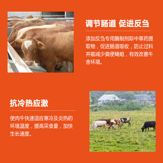 OIMG Henan Dabeinong 4% beef cattle premix, calf fattening cattle feed, rapid fattening, weight gain, skeleton without diarrhea 10 bags, Song 1 bag