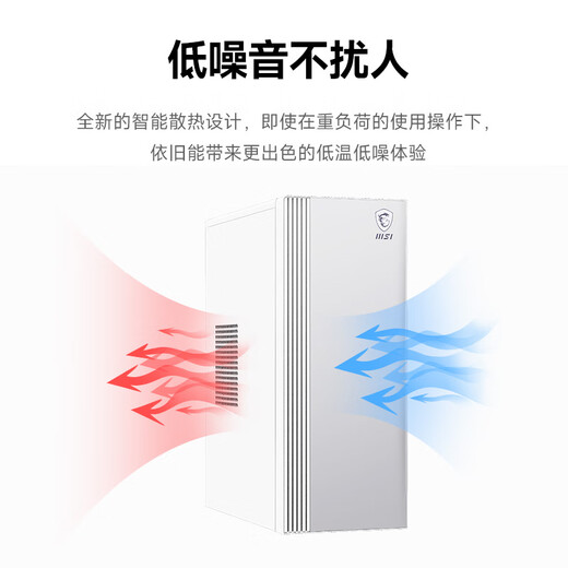 AMD&MSI P60 (Ryzen R5-5600GT 16G 500G business keyboard and mouse) designer commercial office desktop computer host complete set