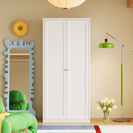 Shengnai steel wardrobe French simple style bedroom environmentally friendly formaldehyde-free large wardrobe storage cabinet household iron cabinet storage cabinet