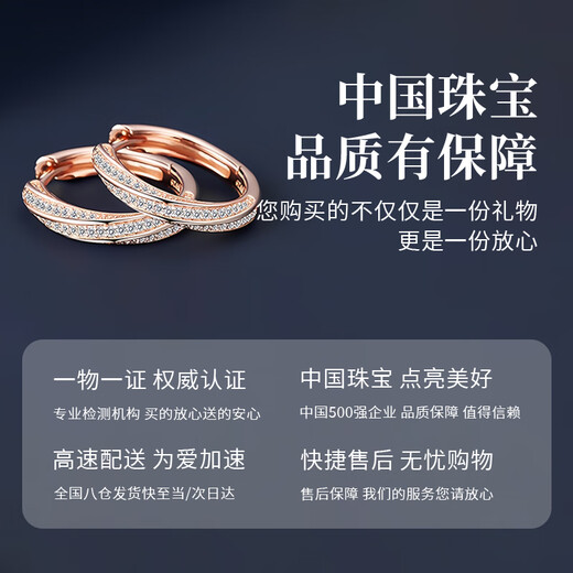 Chinese jewelry sterling silver circle earrings women's ear buckle earrings 2025 new light luxury high-end birthday gift for girlfriend