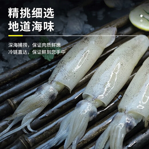 Wild fresh sea-caught quick-frozen fish, Aplysia squid roe, direct delivery from Lianyungang, fresh sea-caught fish 500g*5 packs 5 Jin Jin equals 0.5 kg