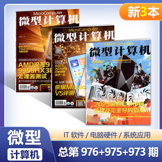 现货 微型计算机杂志 3本装 976+975+973期