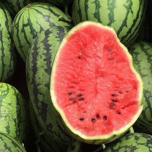 Beijing fresh selenium sand melon 1 capsule, net weight 28-30 Jin [Jin equals 0.5 kg] Fresh fruits, direct source