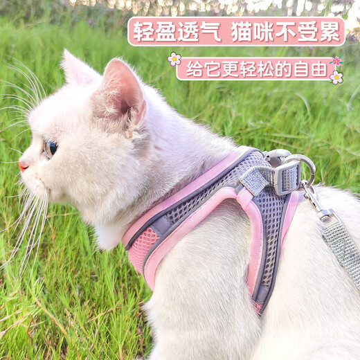 Xiaogushi Cat Traction Rope Anti-Escape Special Vest-Type Breathable Chest-Back Traction Rope for Cats to Go Out in Spring and Summer Reflective Breathable Chest-Back Traction Rope Pink Anti-Escape Model XS-Super Small Recommended 3-6 Jin Jin equals 0.5 kg