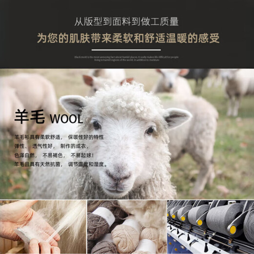 XJSGS international luxury brand high-end 100 pure wool sweater men's autumn and winter V-neck thickened sweater knitted bottoming shirt for men high-end black counter same style winter style XL 180 suitable for 140-160Jin Jin equals 0.5 kg