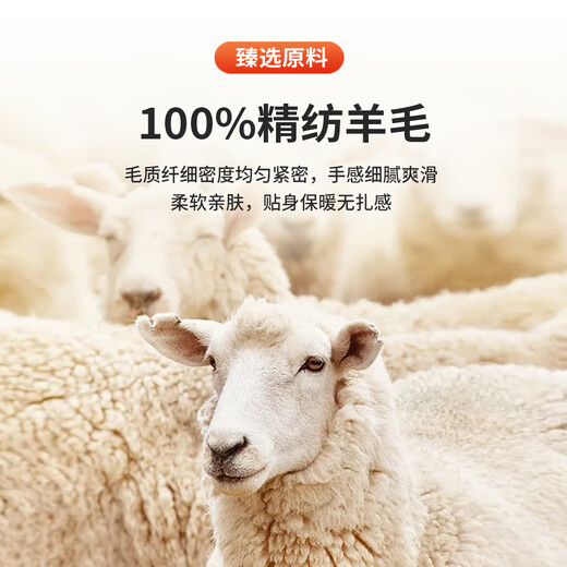 Antonio machine washable & worsted 100% sheep wool men's autumn and winter wool sweater knitted sweater base layer easy to care for