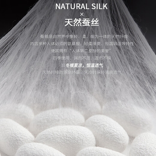 Catman Silk Silk Cear Azuga para hombres Antibacterianos Pantalones de boxeador de gran tamaño