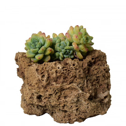High-quality water stone bonsai rockery absorbent stone decoration natural water rust stone 10-14cm comes with grass seeds 10-14cm comes with grass seeds and stones