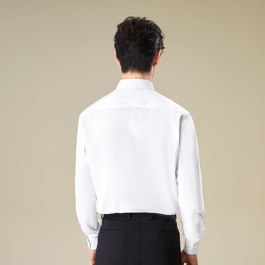 HLA HaiLan Home Long Sleeve Shirt Men Business Clever and Neat Large Size Formal Shirt Men