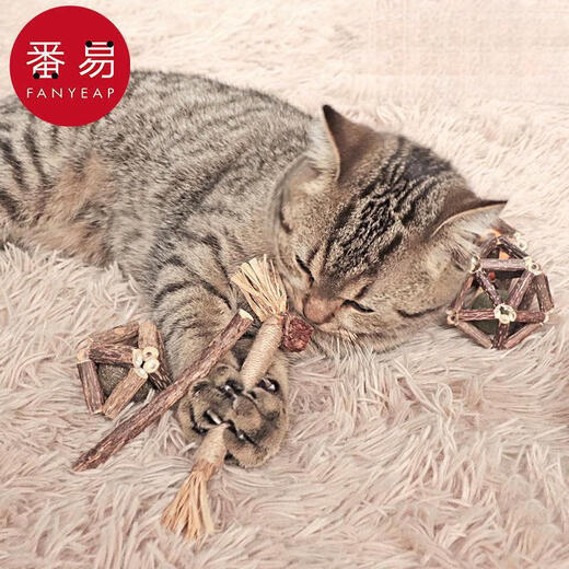 Mutian Polygonum/Stick A1P50-Cat teeth grinding, adult cat teeth cleaning, self-pleasure and boredom relief toy, pet mint Ling, thin sticks 8 pieces/pack 1 pack default