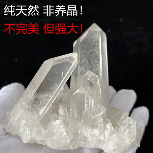 纯天然白水晶簇消磁原石净化磁场居家办公室摆件装饰送底座非养晶 41090-1098元4月26日上新