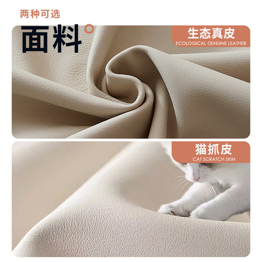 简昕真皮沙发客厅2025新款直排小户型沙发 靠枕可调节 皮艺沙发868S