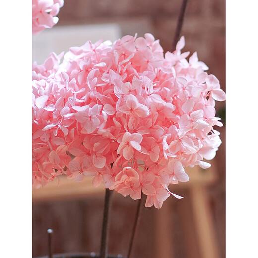 Hydrangea dried flower bouquet real flower dried flower real flower immortal flower dried flower with vase dried flower set combination decoration 25cm thickened ash bottle 5 light purple hydrangea