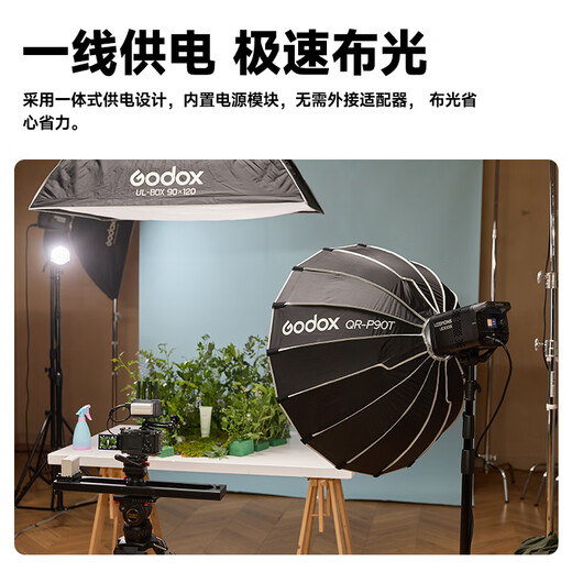 Godox new product fill light LE300Bi dual color temperature photography always on light live broadcast fill light video live fill light live portrait photo beauty soft light film and television light