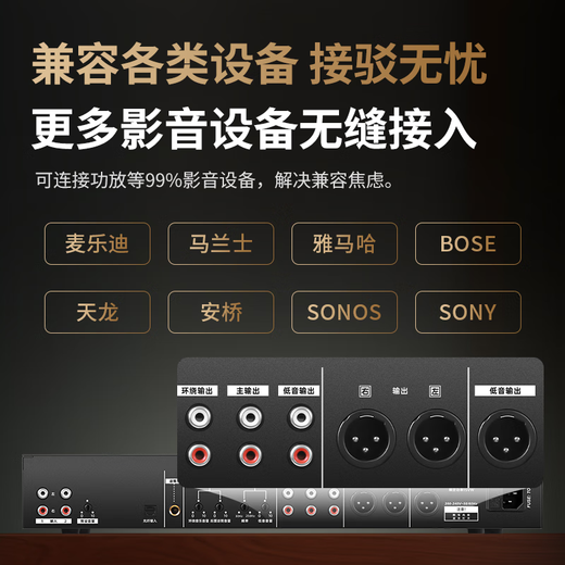 Melody DSP6300Pro digital effector, professional pre-amplifier audio processor, karaoke reverberator microphone, anti-howling vocal modification and beautification, professional sound system DSP6300 Pro luxury upgraded version with cable