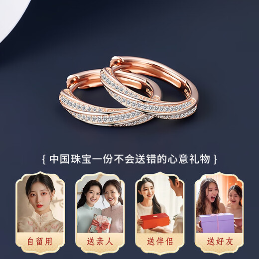 Chinese jewelry sterling silver circle earrings women's ear buckle earrings 2025 new light luxury high-end birthday gift for girlfriend