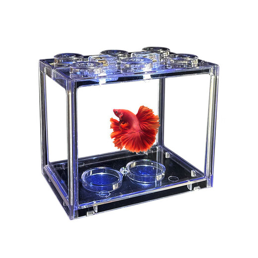 Trendy lifestyle electrical appliances lantern fish tank, fish tank + 2 lanterns (comes with colorful stones and aquatic plants)