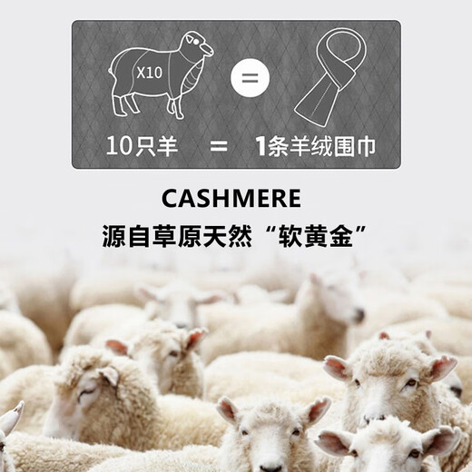 EVAIOGG high-end 100% cashmere scarf men's winter thickened warm plaid scarf birthday gift for boyfriend and husband Mituo 30*180CM