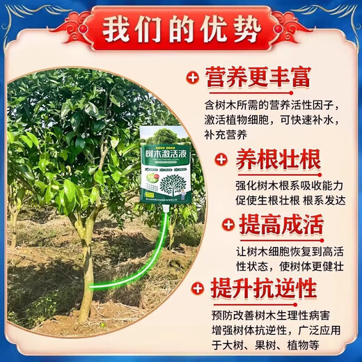 LDVEP large tree nutrient solution hanging needle bag tree resurrection liquid hanging needle liquid fruit tree transplantation survival strong rooting potion regeneration buy 3 get 2 free 200% survival rate 5 bags